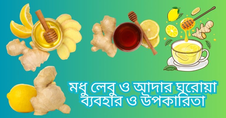 মধু লেবু জিঙ্গার মিশ্রণে মধু, লেবু ও আদা—কাশি, গলা ব্যথা ও বমিভাবে রসোয়া ভোটের ছবি